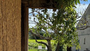 A view of a swimming pool, a tree, and a building with a sloped roof. - Country house with a pool, 3 minutes from Vaison-la-Romaine. (VAISON LA ROMAINE)