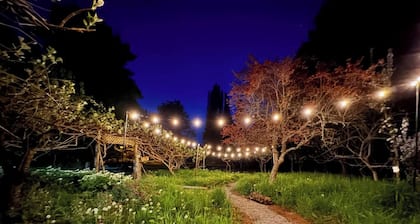 Orchard Farmhouse on Camano Island with WiFi / Ocean View / Fire Pit / Laundry