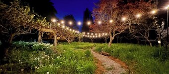 Orchard Farmhouse on Camano Island with WiFi / Ocean View / Fire Pit / Laundry