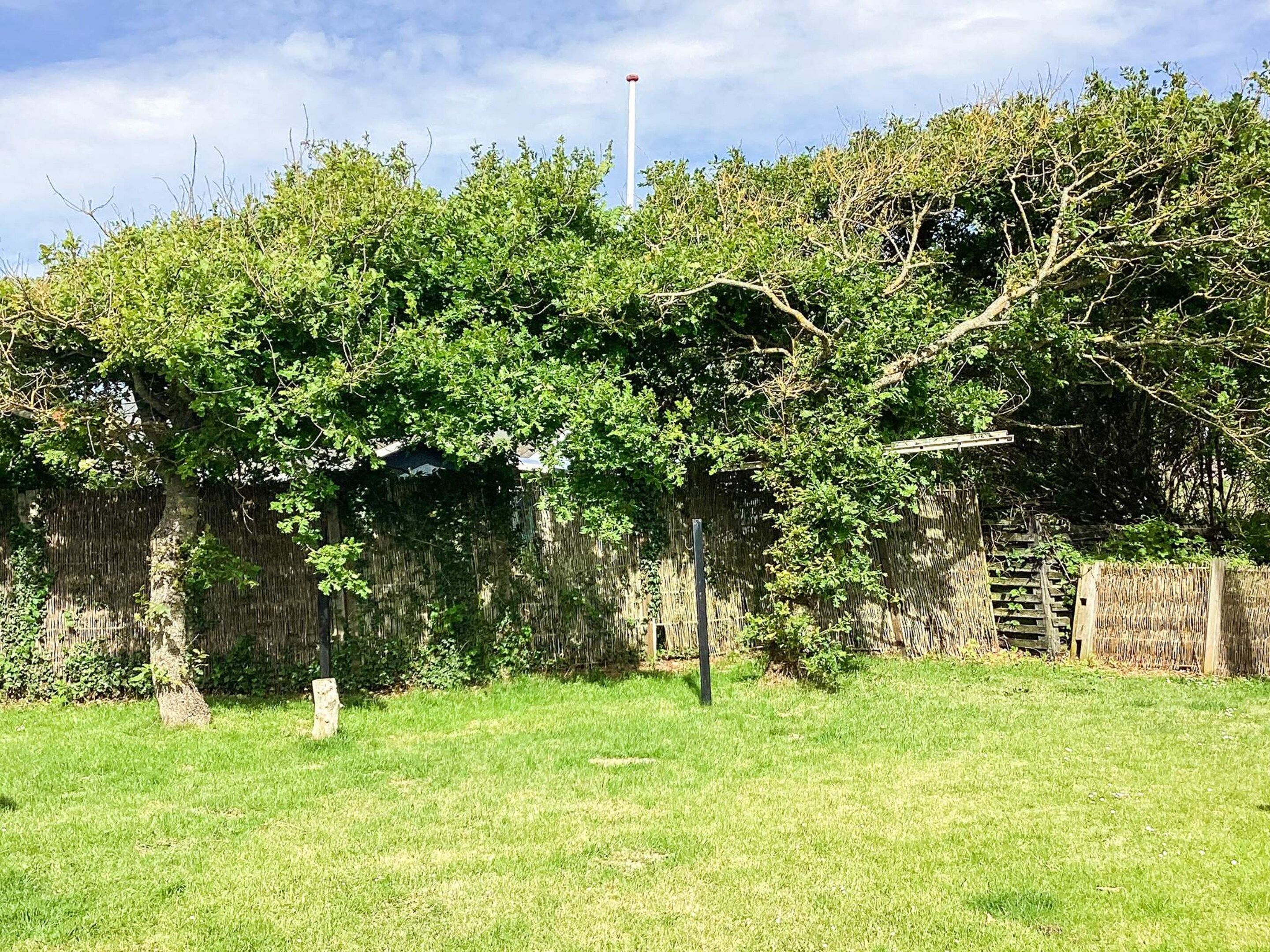 Un área con césped, un muro de piedra y un árbol en primer plano.
