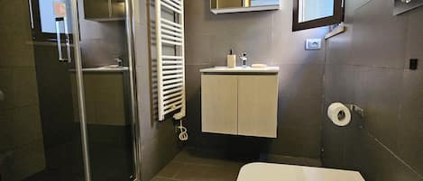 Shower, hair dryer, bidet, towels
