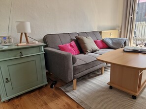 Living area - Vacation apartment WaldZeit in Hahnenklee - with dog (Goslar)