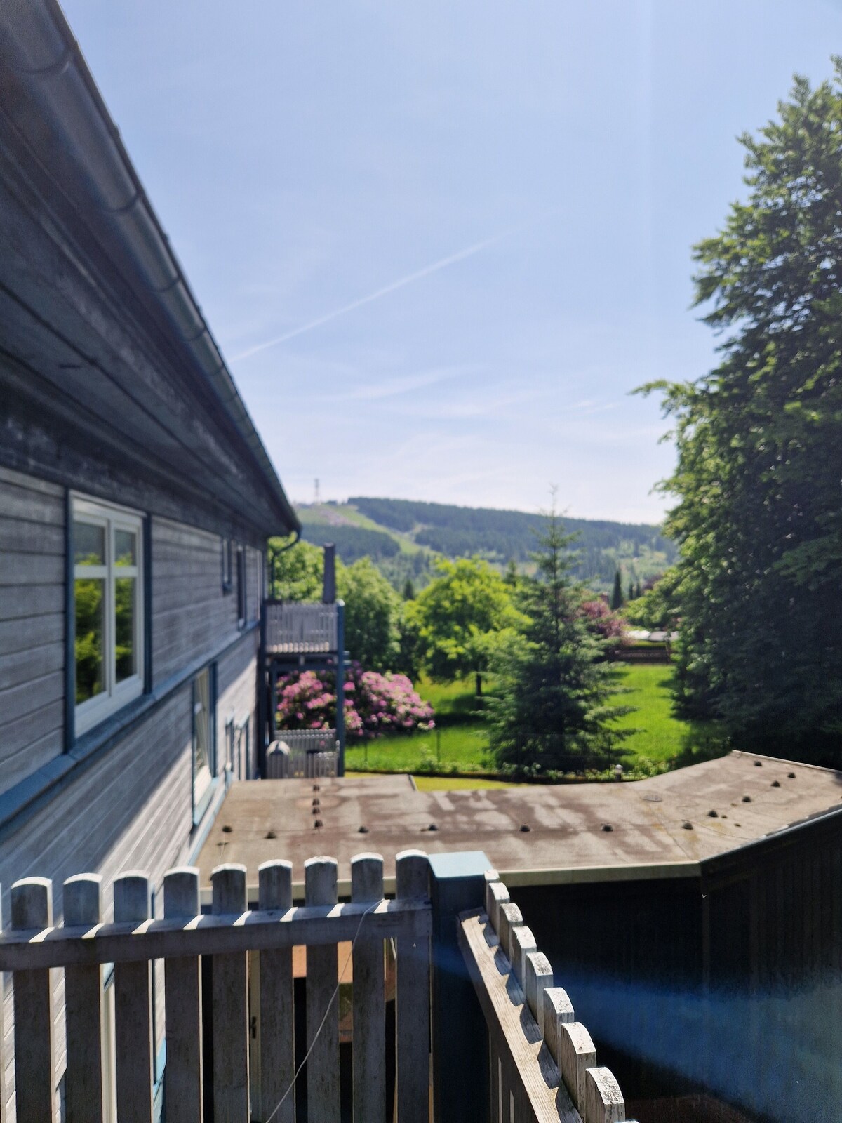 Image de profil de l’hôte