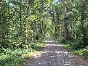 House | Miscellaneous