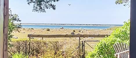 A beach view with a wooden bench, greenery, and a clear sky.