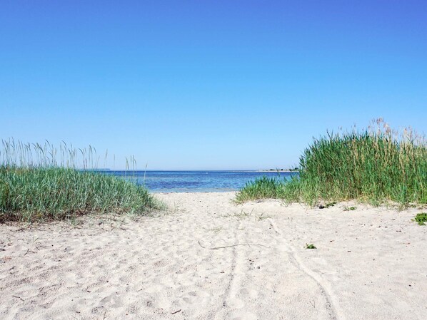 บ้านพัก | ชายหาด