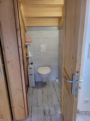 Shower, soap, toilet paper