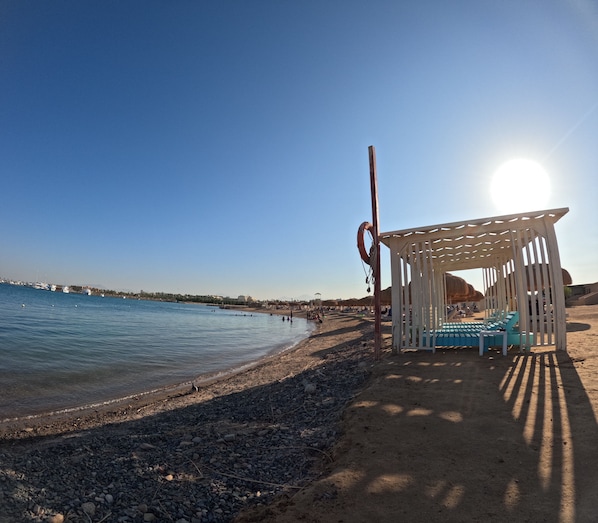 Beach - Chic 1-bedroom apartment near airport with swim pool and private beach (Red Sea Governorate)