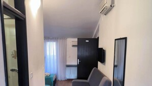 Un salon moderne avec un canapé gris, un plancher en bois, une porte noire et un miroir accroché au mur.