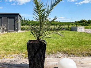 Un jardín con una planta en maceta, una terraza de madera y un edificio al fondo.