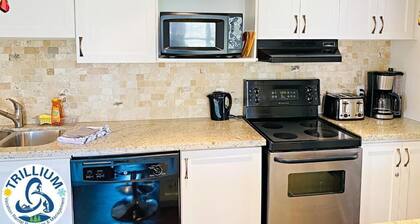 Blue Mountain Suites