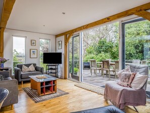 TV, fireplace, books
