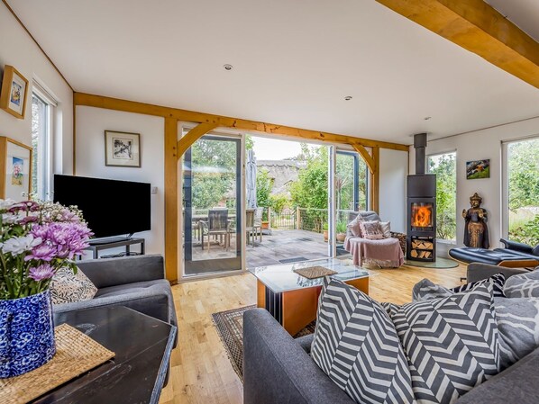 TV, fireplace, books