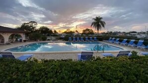 Piscina con sillas de descanso y una palmera, rodeada de follaje.
