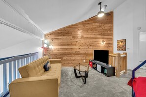 Smart TV, fireplace, books, computer monitors