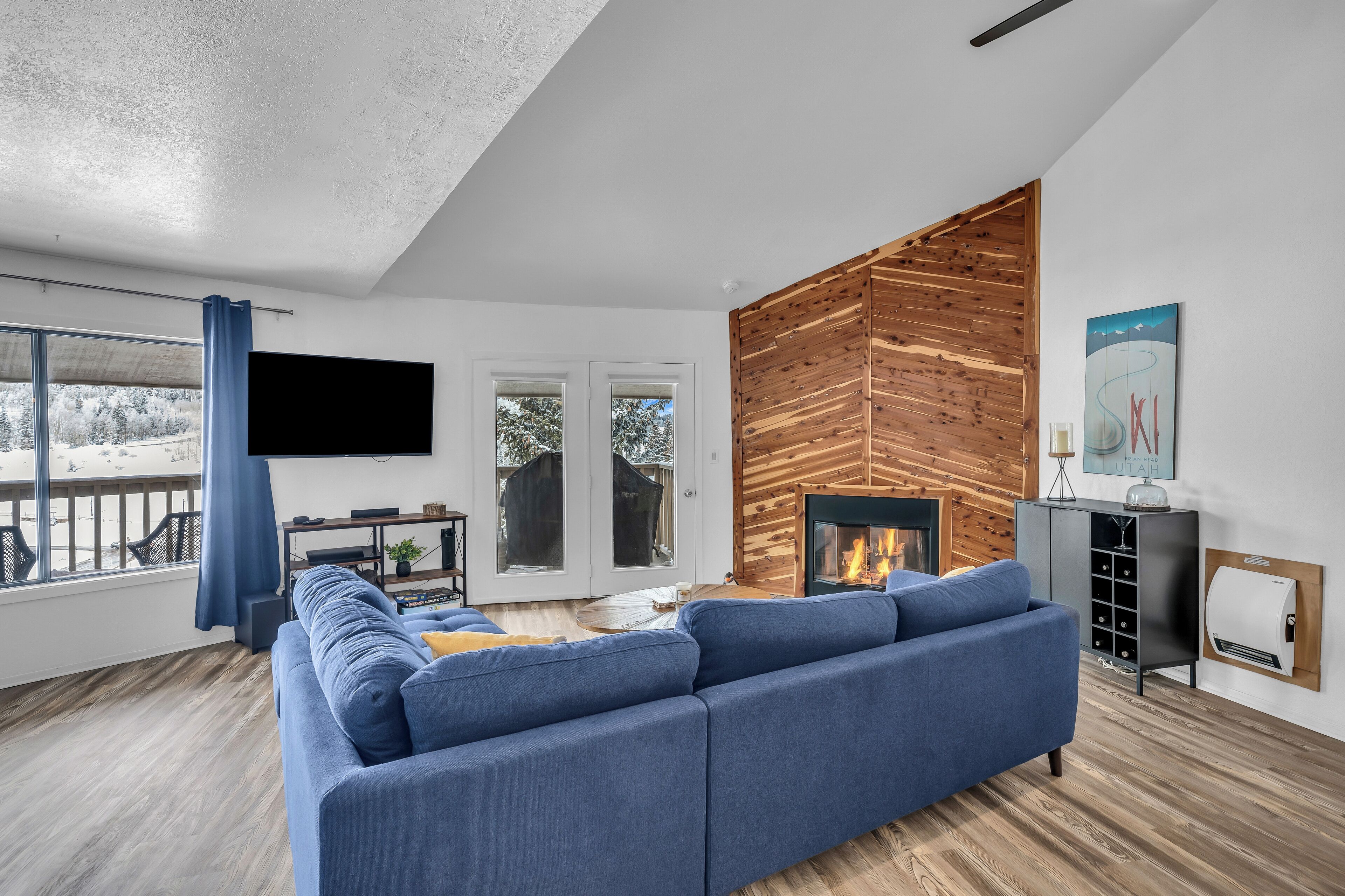 Smart TV, fireplace, books, computer monitors