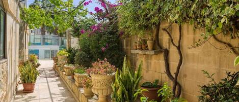 Áreas de la propiedad