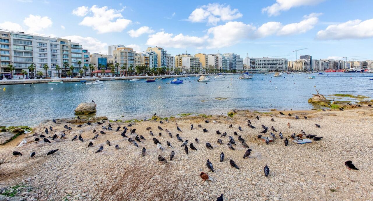 A coastal cityscape with a pebbled beach and a marina.