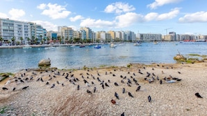A coastal cityscape with a pebbled beach and a marina. - Lovely Waterfront Apt with Stunning Views in Gzira (Il-Gżira)