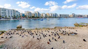 A coastal cityscape with a pebbled beach and a marina.