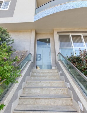 Detalle del exterior