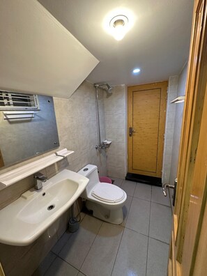 Shower, bidet, towels, soap