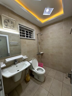 Shower, bidet, towels, soap