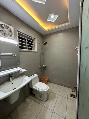Shower, bidet, towels, soap