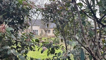 Àrea exterior de l'allotjament