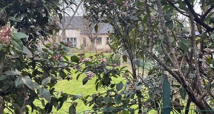 Available this summer! House 300 metres from the Rance in a quiet area
