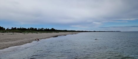 Une plage avec un rivage sablonneux et une eau calme.