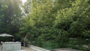 Una piscina con cubierta de azulejos, una parrilla de barbacoa y un jacuzzi en un patio trasero con árboles frondosos.