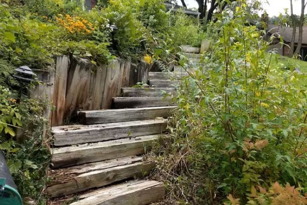 Parco della struttura