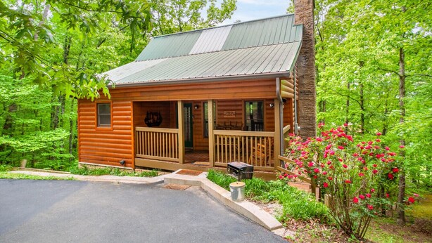 A rustic cabin with a porch, surrounded by lush greenery and a flower bed.