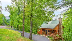 A rustic cabin with a metal roof, surrounded by lush greenery and a paved driveway.