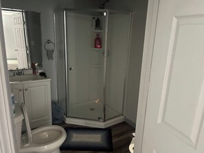 Hair dryer, towels, soap, toilet paper