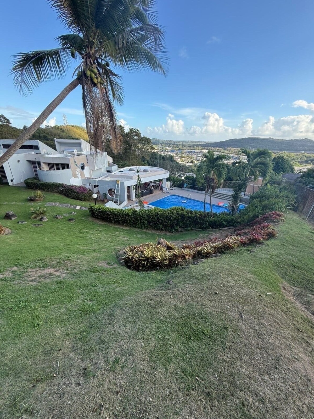 Imagen de perfil del propietario o de la propietaria