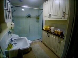 Shower, hair dryer, towels