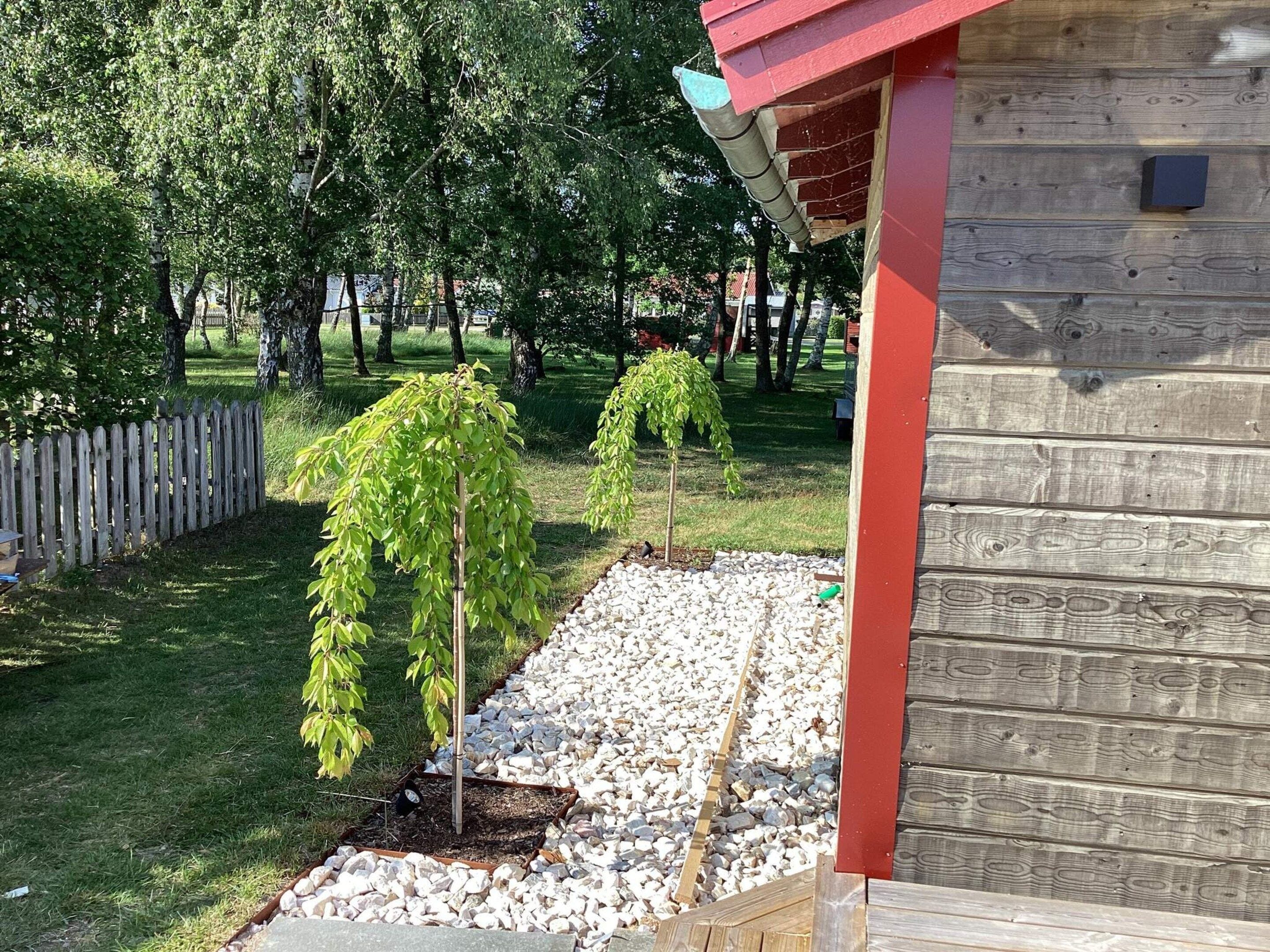A wooden cabin with a red roof, surrounded by a gravel path and trees.