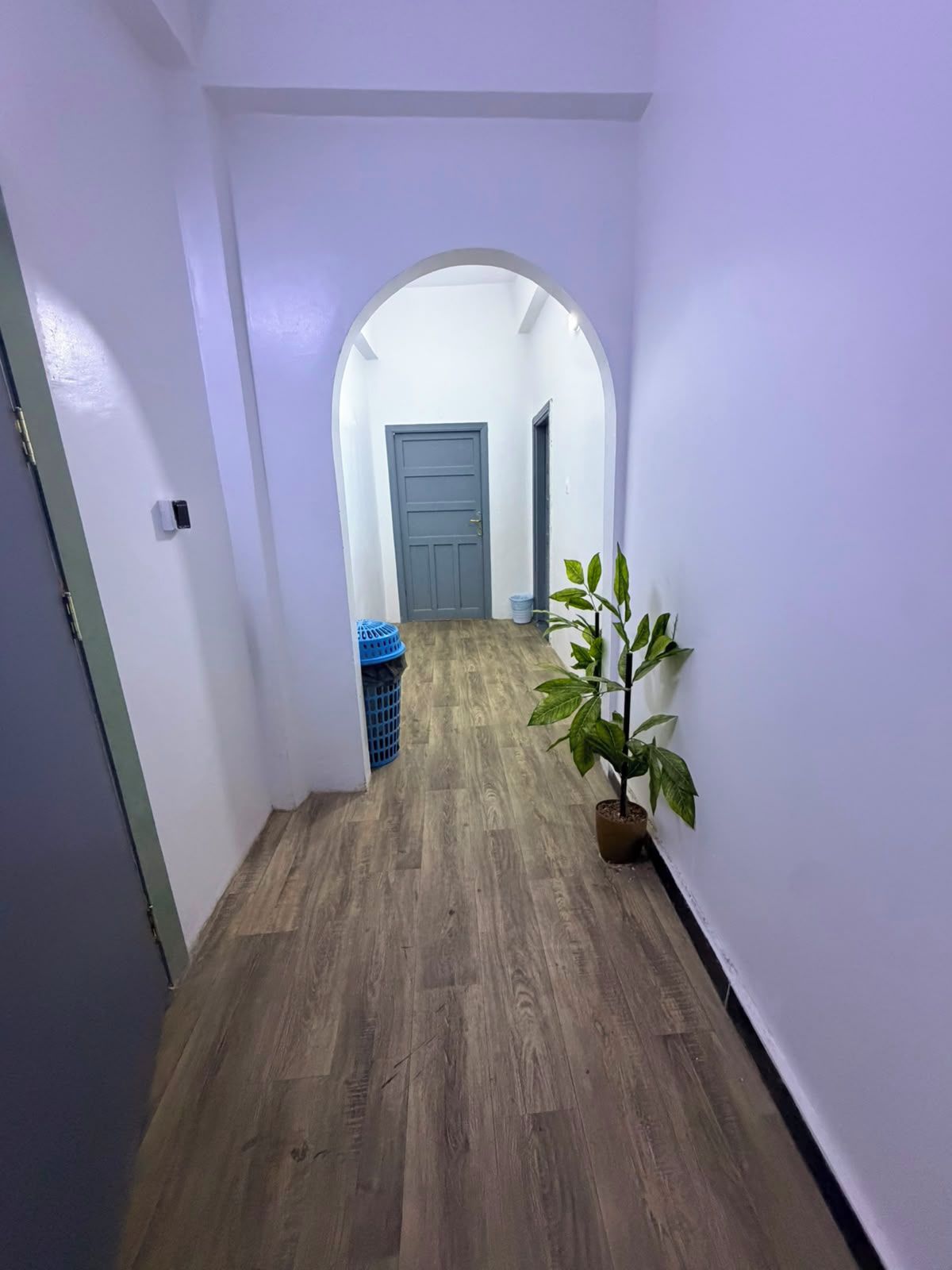 A hallway with a wooden floor, a potted plant, a blue laundry basket, and a door at the end.