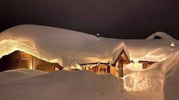 Mökki, 5 makuuhuonetta, esteetön, tupakointi sallittu | Ulkopuoli