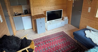 Cozy and Family-friendly Mountain Cabin