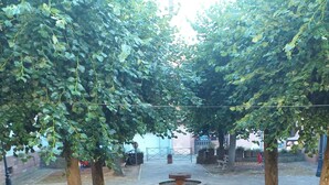 A set of outdoor stairs leading up to a covered area with a central fountain, surrounded by trees and benches. - "Place Monet", a pretty, tree-lined square in the center of town. (Saverne)