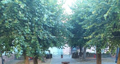 "Place Monet", a pretty, tree-lined square in the center of town.