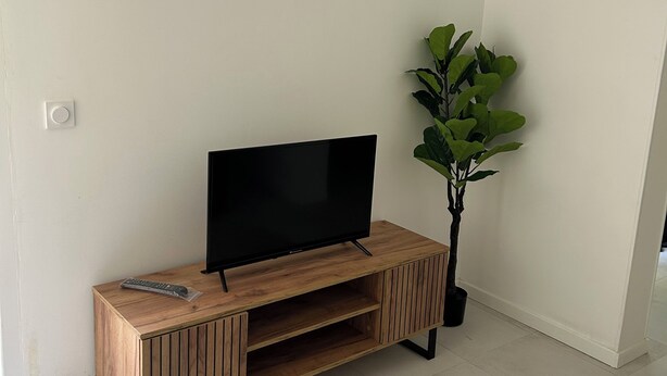 Un salon moderne avec un téléviseur à écran plat posé sur un meuble télé en bois, une plante en pot et une horloge murale.