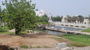 جولات سياحية بيئية