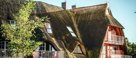 Departamento | Vista desde la propiedad