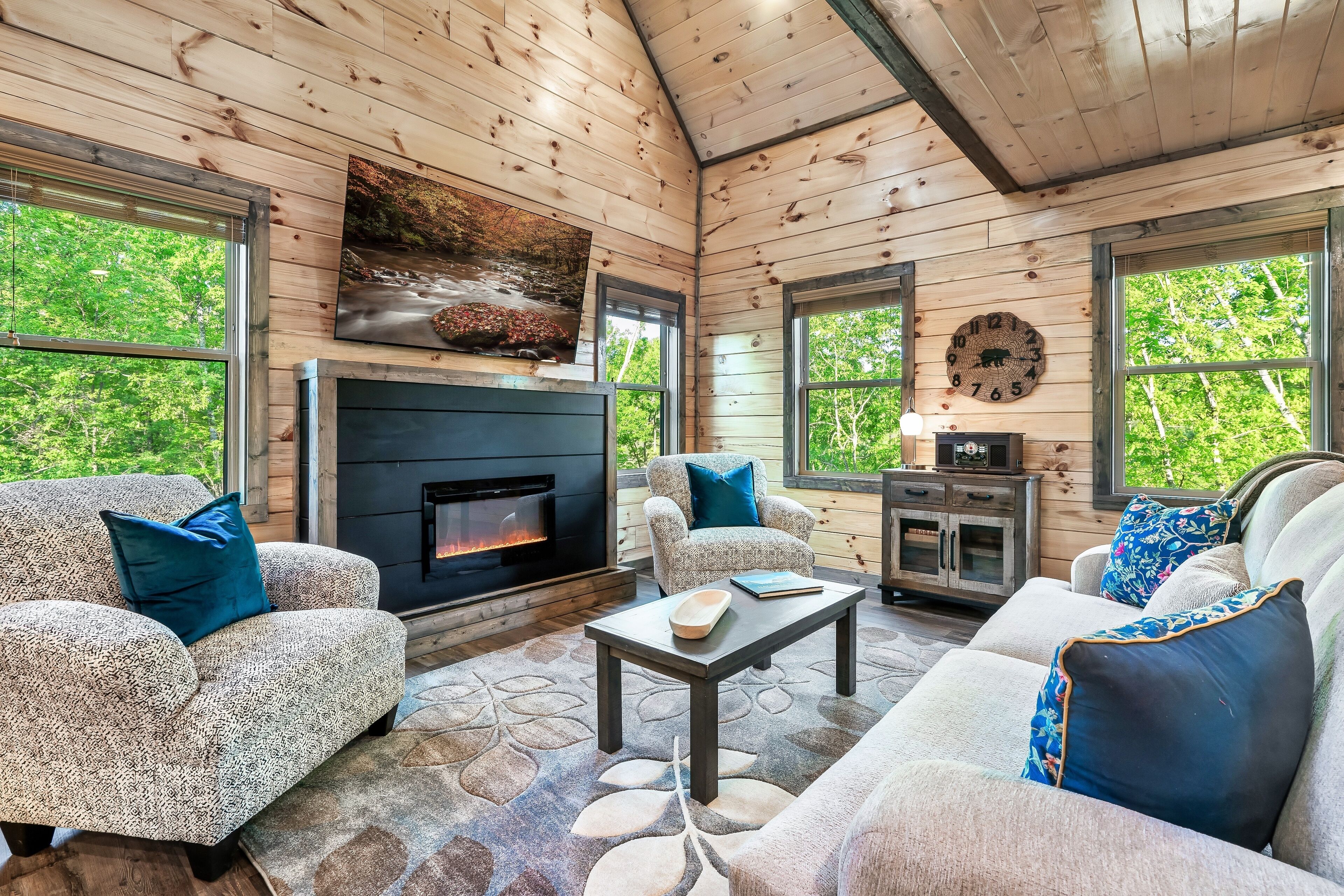 Smart TV, fireplace, books