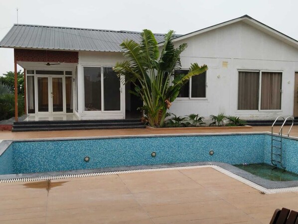 Une maison avec une piscine, une véranda et une grande plante.