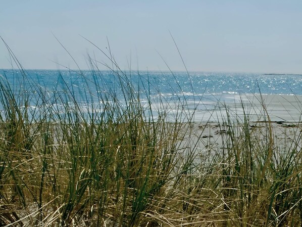 Beach - 4 Star Holiday Home in Asa (Åsa)